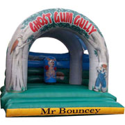 fashion inflatable bouncer